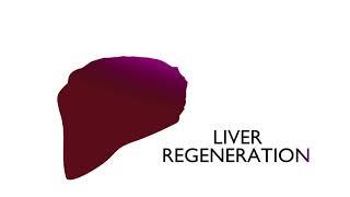 Liver Regeneration Following Living Liver Donation