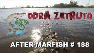 AFTER MARFISH # 188 Liga Marfisha  Dyskusja na czacie temat katastrofa ekologiczna na Odrze