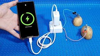 How to make free energy from potatoes Charge your phone  Simple Tips