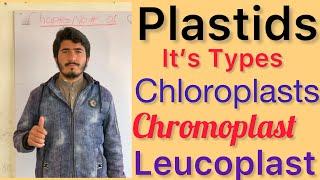 Plastids Chloroplasts  Chromoplast  Leucoplast in class 11