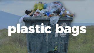 Heres how plastic bags impact the environment