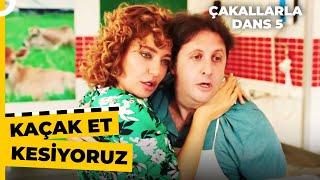 Çocuk Yapma Operasyonu Mu?  Çakallarla Dans 5