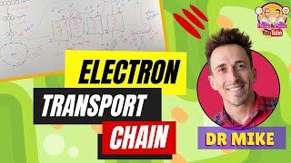 Electron Transport Chain  Made Easy