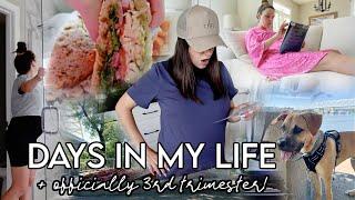 VLOG 3rd trimester new fitness mindsetgoals feeling BIG + exciting project