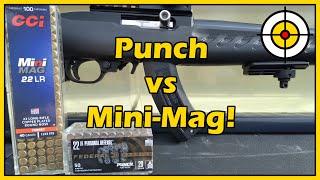 How Mighty is The Mini-Mag? .22lr Federal Punch vs CCI Mini-Mag Ballistic Gel Test