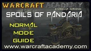 Spoils of Pandaria Normal Guide - Siege of Orgrimmar - Warcraft Academy