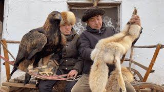 Eagle hunters life in the mountain village  Why Nomad need an eagle