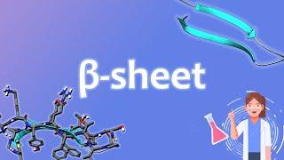 Beta Sheet Protein Secondary Structure - Medicinal Chemistry 1.6