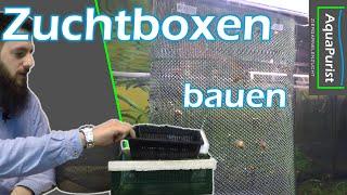 Netzboxen für die Zucht von Zierfischen