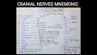 Cranial nerves mnemonic _ Neurology lectures _ Medical _ Online MBBS lectures