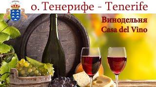 Тенерифе день 11-й Винодельня Casa del Vino     Tenerife España - Spain