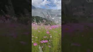 Ziro Valley  Arunachal Pradesh