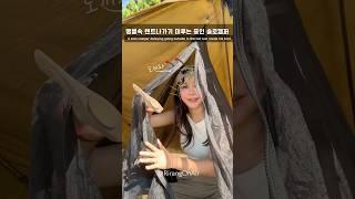 텐트 밖은 위험해⭐️  땡볕속 섬에서 솔로캠핑하기 #솔로캠핑