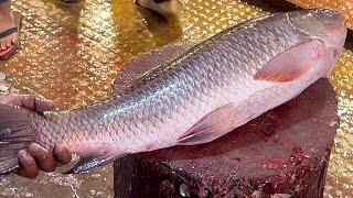Amazing Cutting Skills  Big Rohu Fish Cutting By Expert Fish Cutter
