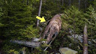 Man Finds Giant Rocket In Forest. Hes Stunned When He Sees Whats Inside