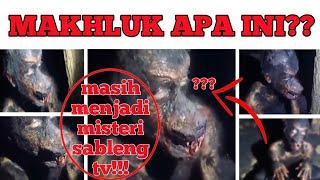 MAKHLUK APA INI??? sosok ini bikin bingung sableng tv