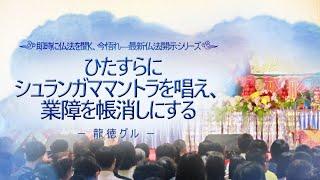 龍徳グル：ひたすらにシュランガママントラを唱え、業障を帳消しにする｜龍德上師【日語】