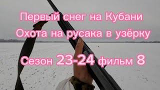 Первый снег на Кубаниохота на зайца русака в узёрку.Сезон 23-24 фильм 8.