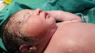 Newborn Baby Video { Our cute stars } Cute Newborn Baby After IVF IVF Success ​Baby Born VIdeo