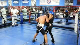 Teofimo Lopez Sparring Gervonta Davis