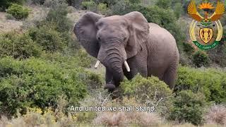 National Anthem of South Africa Nkosi Sikelel iAfrika  Die Stem van Suid-Afrika