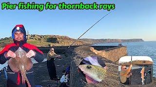 Fishing for Thornback Rays on the West Coast  Whitehaven  Cumbria