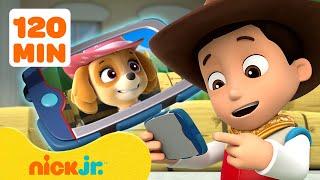 Ryder Calls PAW Patrol Pups to the Lookout Tower #5 w Skye  2 Hours  Nick Jr.