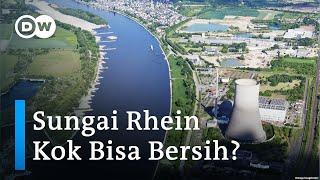Lihat Cara Jerman Bersihkan Sungai Rhein dari Limbah Industri