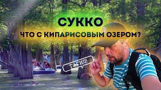 Влог #114 Во что превратили кипарисовое озеро в СУККО  АНАПА