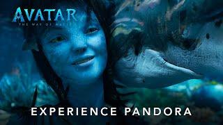 Avatar The Way Of Water  Experience Pandora  Tickets on Sale  Dec 16 in Cinemas