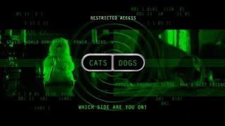 Cats & Dogs - Set Top Game & Easter Eggs - Game Sequence and Special Easter Eggs