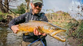 Late Season Fly Fishing for BIG Brown Trout New Zealand