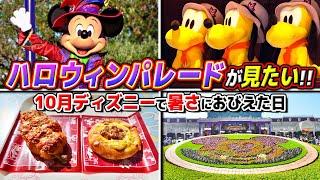 【平日でも混雑?】10月のディズニーでハロウィンパレードを絶対に見たかった日  東京ディズニーランド