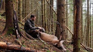 Wölfe – Hirschjagd in den Karpaten zur Brunft Teil 2 –  Hunt on Demand Trailer
