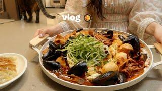 Vlog  Life of a Person Living Alone Cooking Spicy Seafood Tteokbokki Crispy Dumplingss