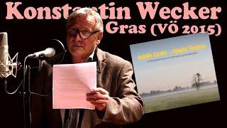 Konstantin Wecker - Gras Gerhard Gundermann Cover - mit Liedtext