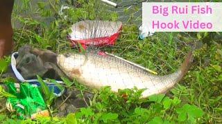 22000 Ticket Price The Fishing By Best Looking Fishing Video in Big Rui Fish Hook Video