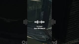 Oak Woodland  Background Music For Videos