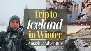 Best Excursions the Northern Lights and Reykjavik in Winter Iceland