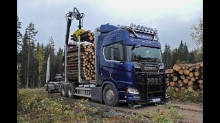Scania R650 6X4 Timber Truck Loading 4K
