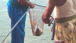 Amazing Fishing Video Beat Fishing by Big Fish Hook Video in Khulna Poca Dighi