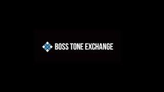 BOSS TONE EXCHANGE - A Casual look through it.
