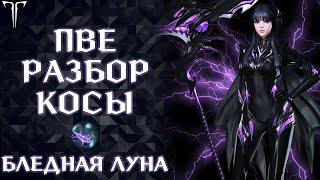 ПВЕ РАЗБОР И ГАЙД НА КЛАСС ПОЖИРАТЕЛЬНИЦА ДУШ БЛЕДНАЯ ЛУНА ►LOST ARK ONLINE ►PVE GUIDE SOULEATER