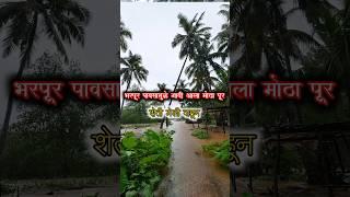 भरपूर पावसामुळे माझ्या गावी आला मोठा पूर   #kokan #malvani #minivlog