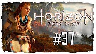 Rückkehr zu Raven #37  LETS PLAY HORIZON ZERO DAWN DEUTSCH  GAMEPLAY