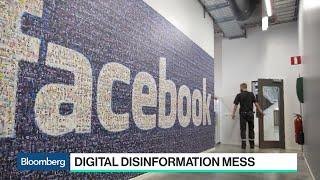 Facebooks Position on Deepfakes Is Indefensible Elevations McNamee Says