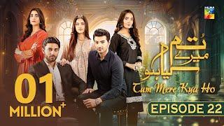 Tum Mere Kya Ho - Episode 22 - 13th May 2024   Adnan Raza Mir & Ameema Saleem  - HUM TV