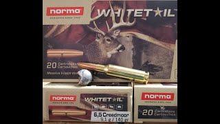 Norma Whitetail 6.5 Creedmoor 140 gr ballistics gel testing