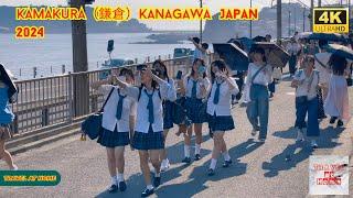 4k hdr japan travel 2024  Walk in Kamakura（鎌倉）Kanagawa japan   Relaxing Natural City ambience