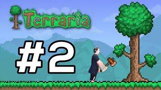 เกมประจำเดือนมิ.ย. Terraria #2